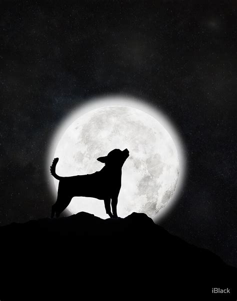 Hidden Powers: Unlocking the Secrets of the Werewolf Chihuahua Curse